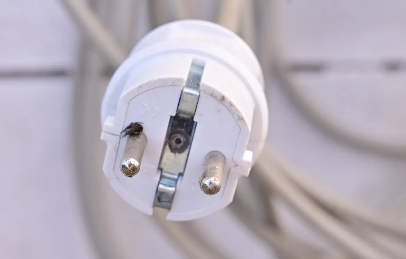 Photo wallpaper white, wire, outlet