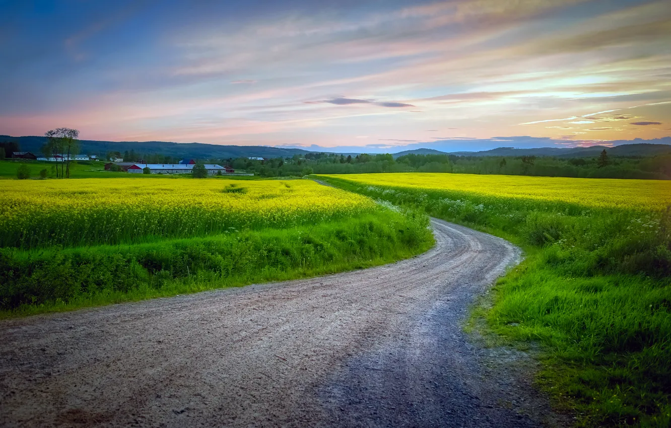 Photo wallpaper road, field, the sky, clouds, Sweden, Varmland County, Värmland