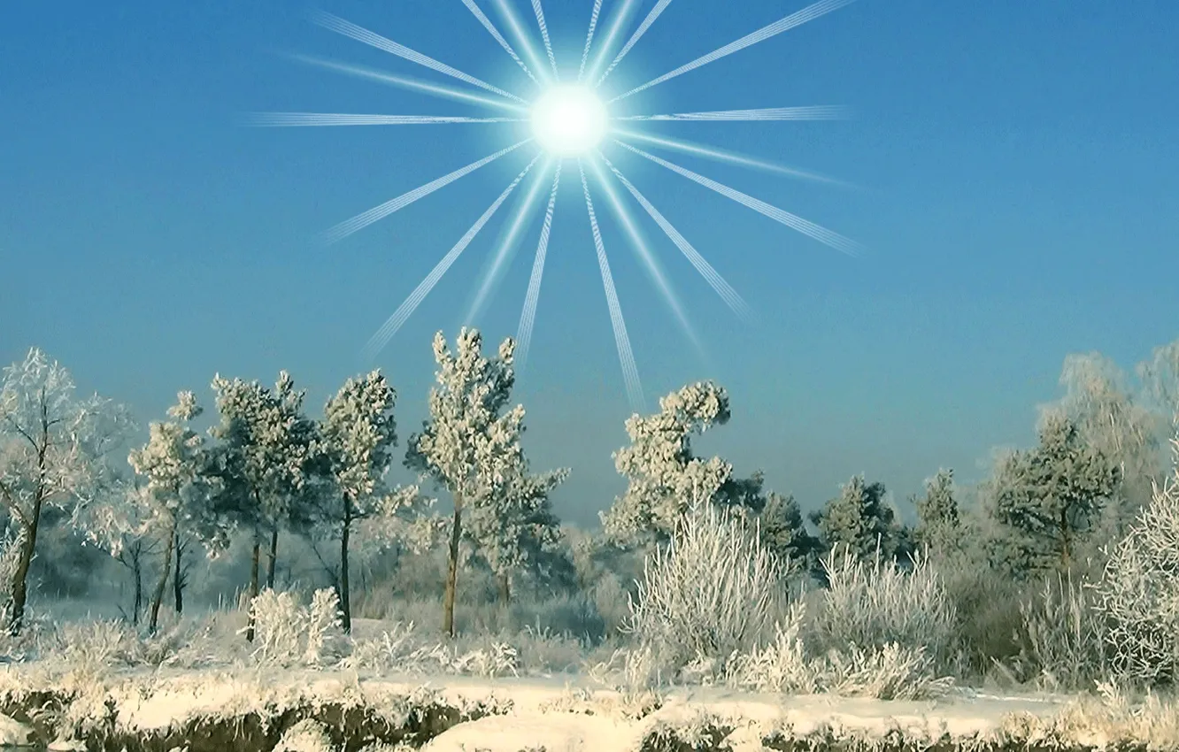 Photo wallpaper winter, frost, snow, The sun, fairy forest
