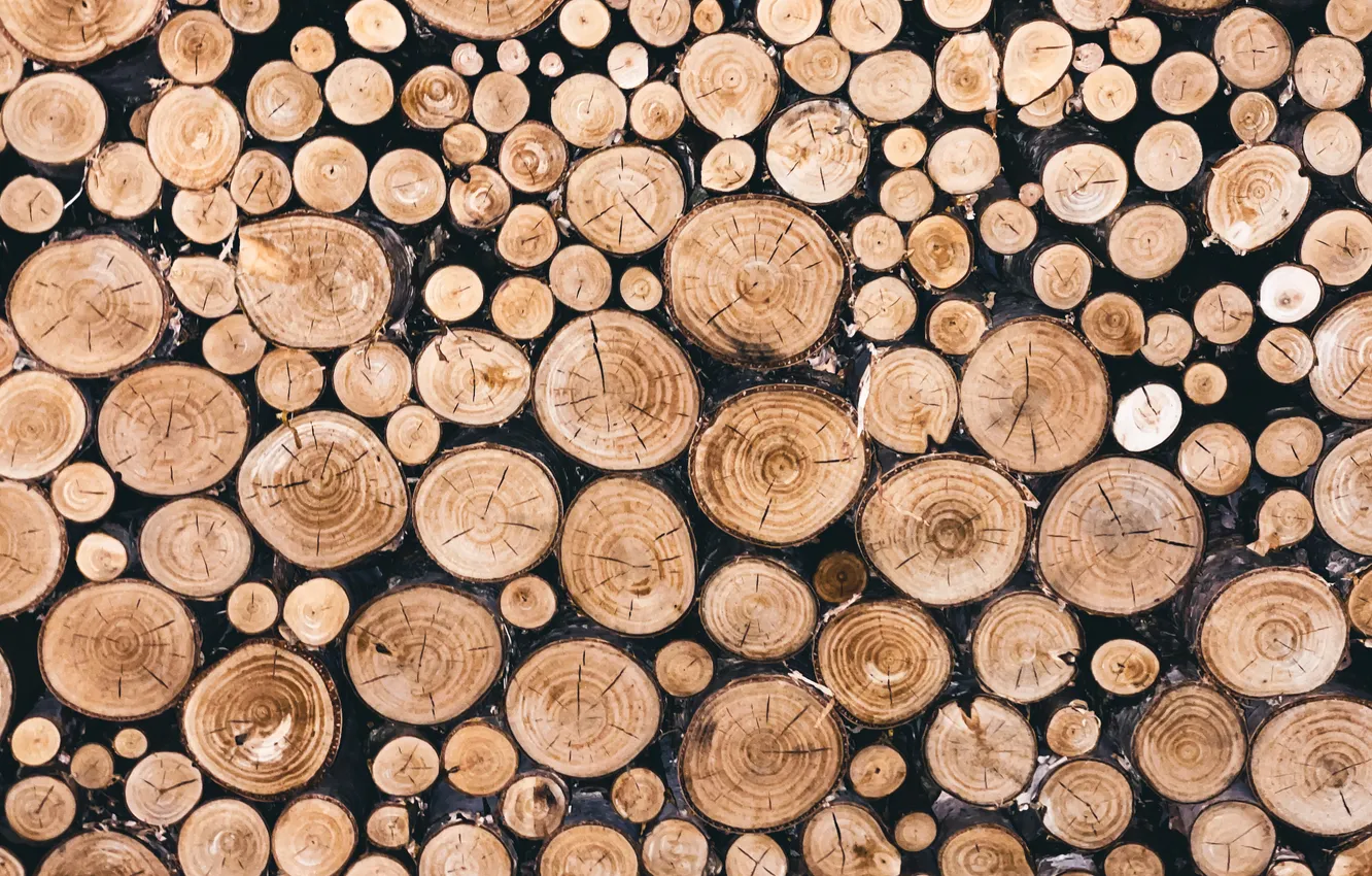 Photo wallpaper wood, round, logs