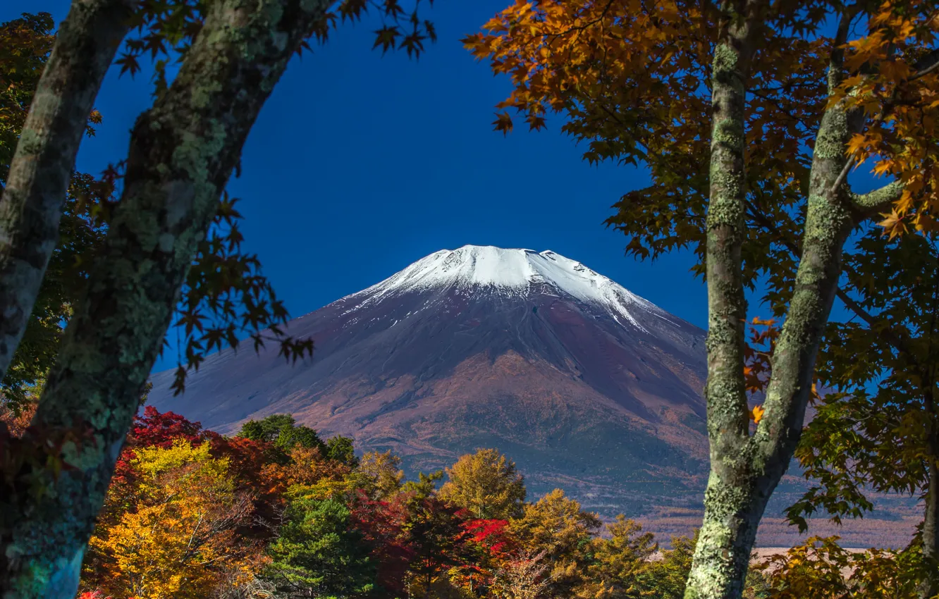Photo wallpaper autumn, the sky, leaves, snow, trees, Japan, mount Fuji