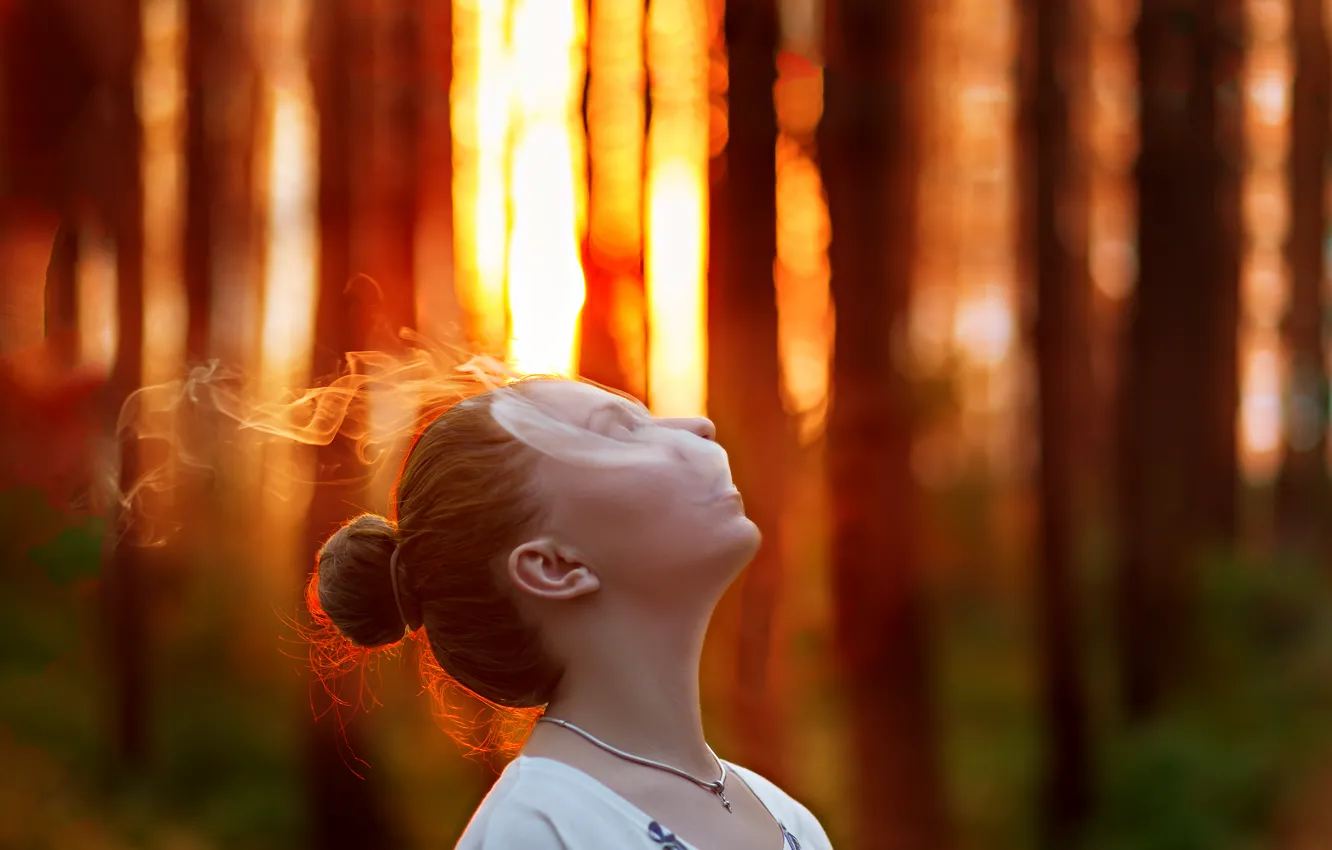 Photo wallpaper forest, girl, sunset, smoke, the evening
