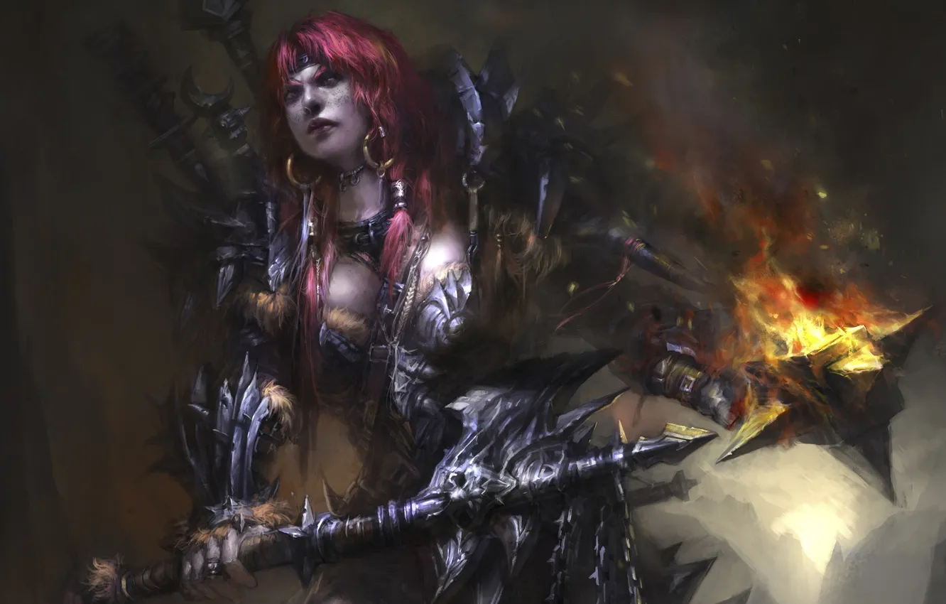 Photo wallpaper girl, lights, weapons, hair, armor, art, Diablo 3, earrings