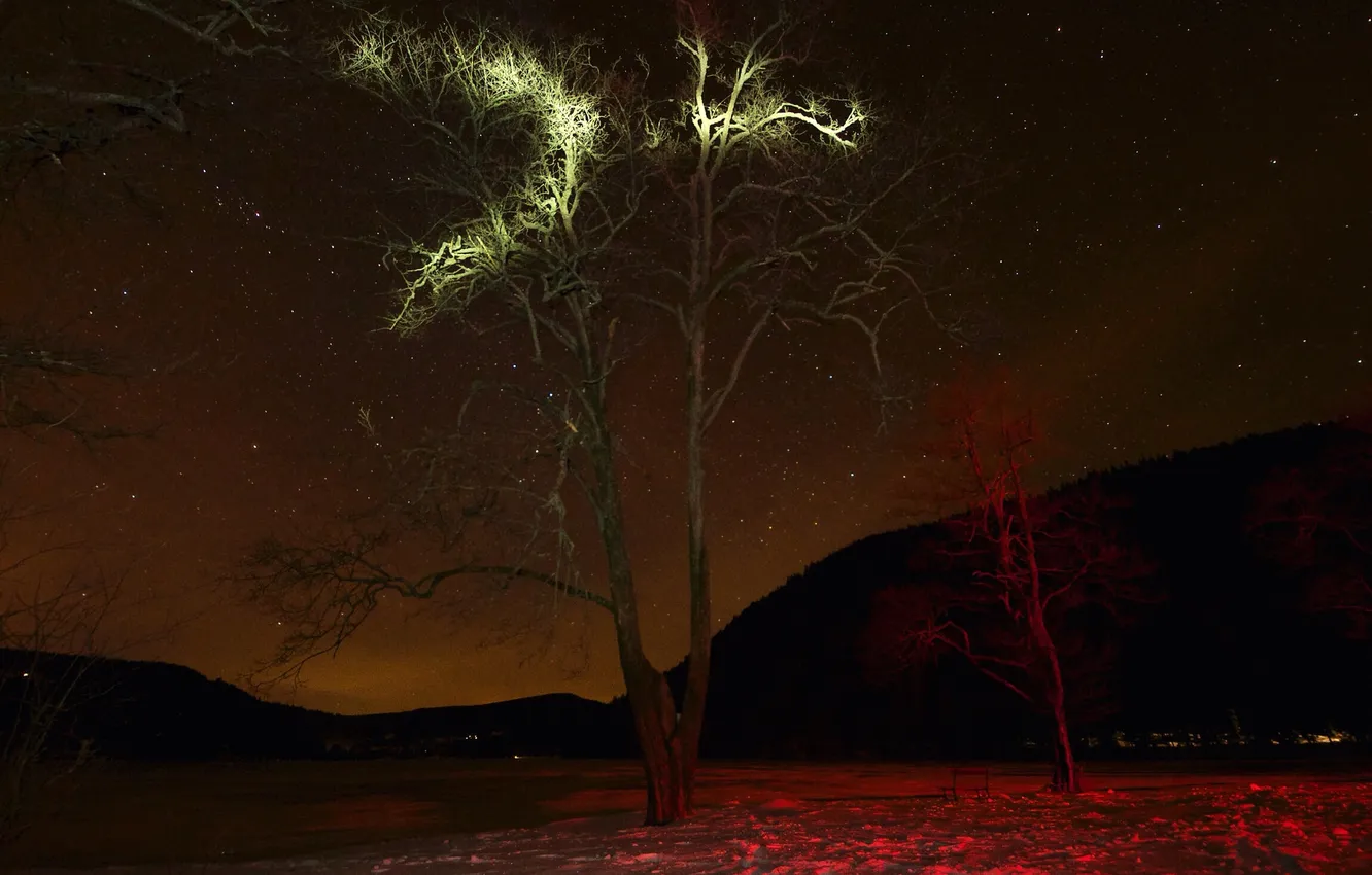 Photo wallpaper the sky, stars, light, snow, trees, mountains, night, bench