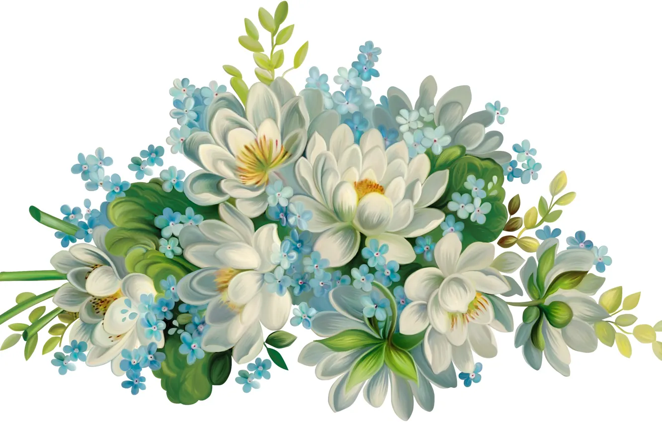 Photo wallpaper flowers, white background, beautiful, blue flowers