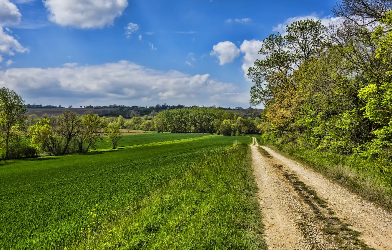 Photo wallpaper road, field, summer