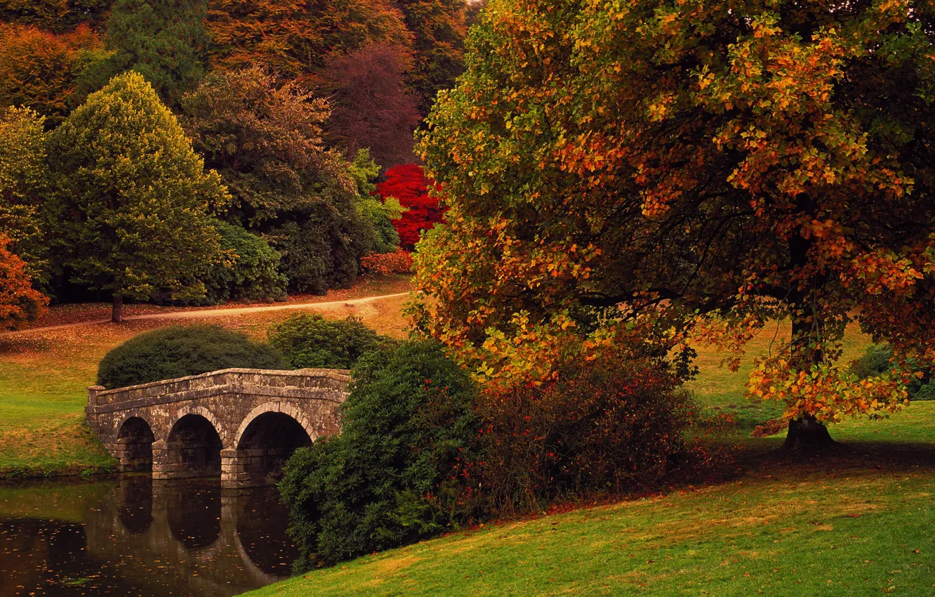 Photo wallpaper autumn, trees, bridge, Park, England, Wiltshire
