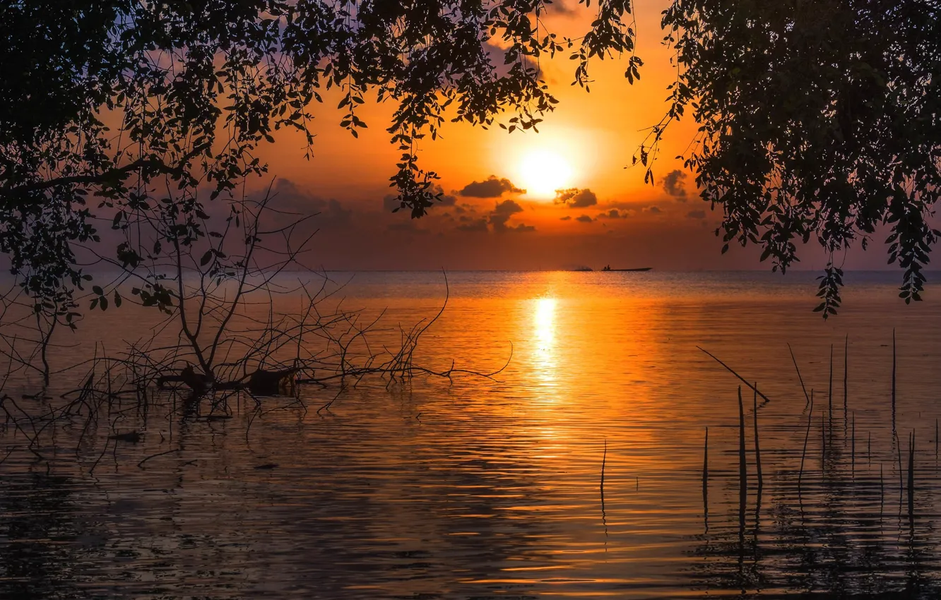 Photo wallpaper water, landscape, sunset, nature, lake, the evening