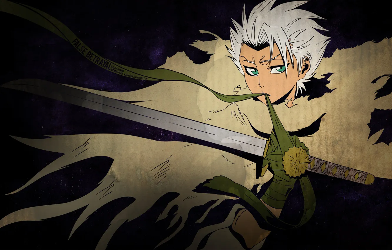 Photo wallpaper sword, katana, mantle, guy, Bleach, zanpakutō