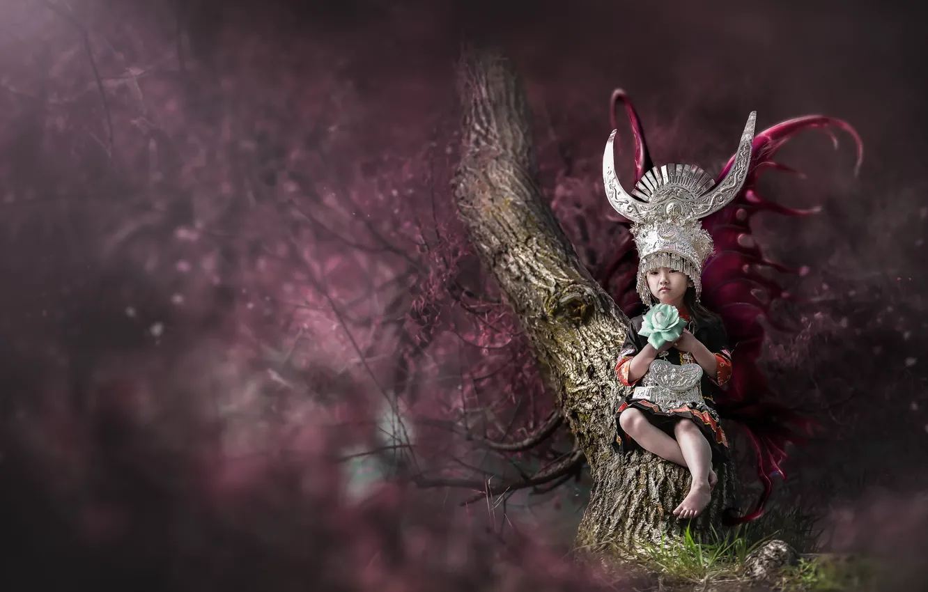 Photo wallpaper look, background, girl