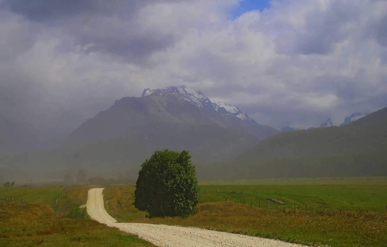 Photo wallpaper road, field, trees, mountains, fog, New Zealand