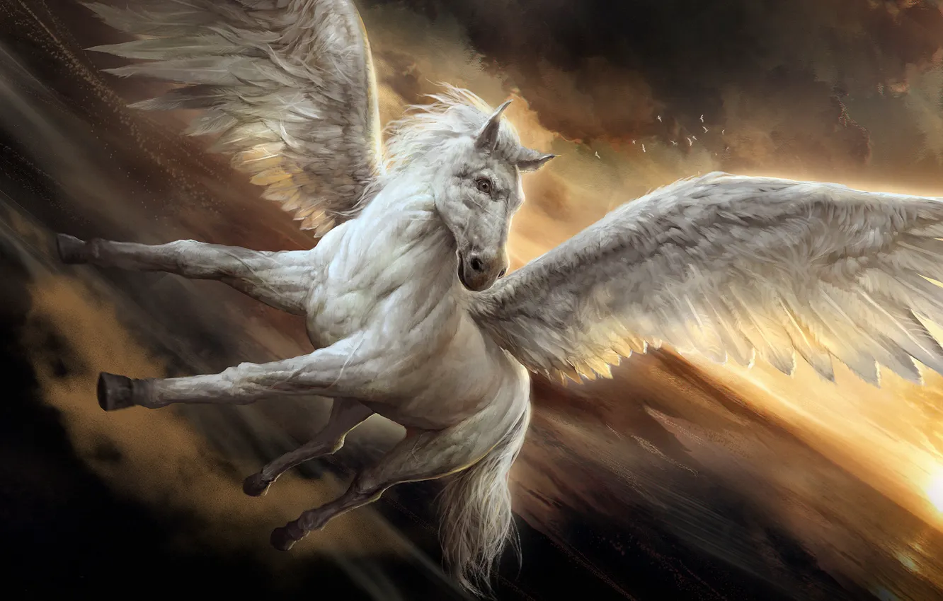 Photo wallpaper horse, wings, Pegasus