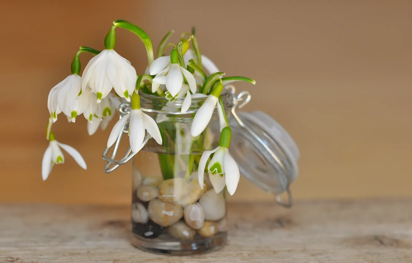 Photo wallpaper flowers, glass, table, Bank, background, bouquet, pebbles, white