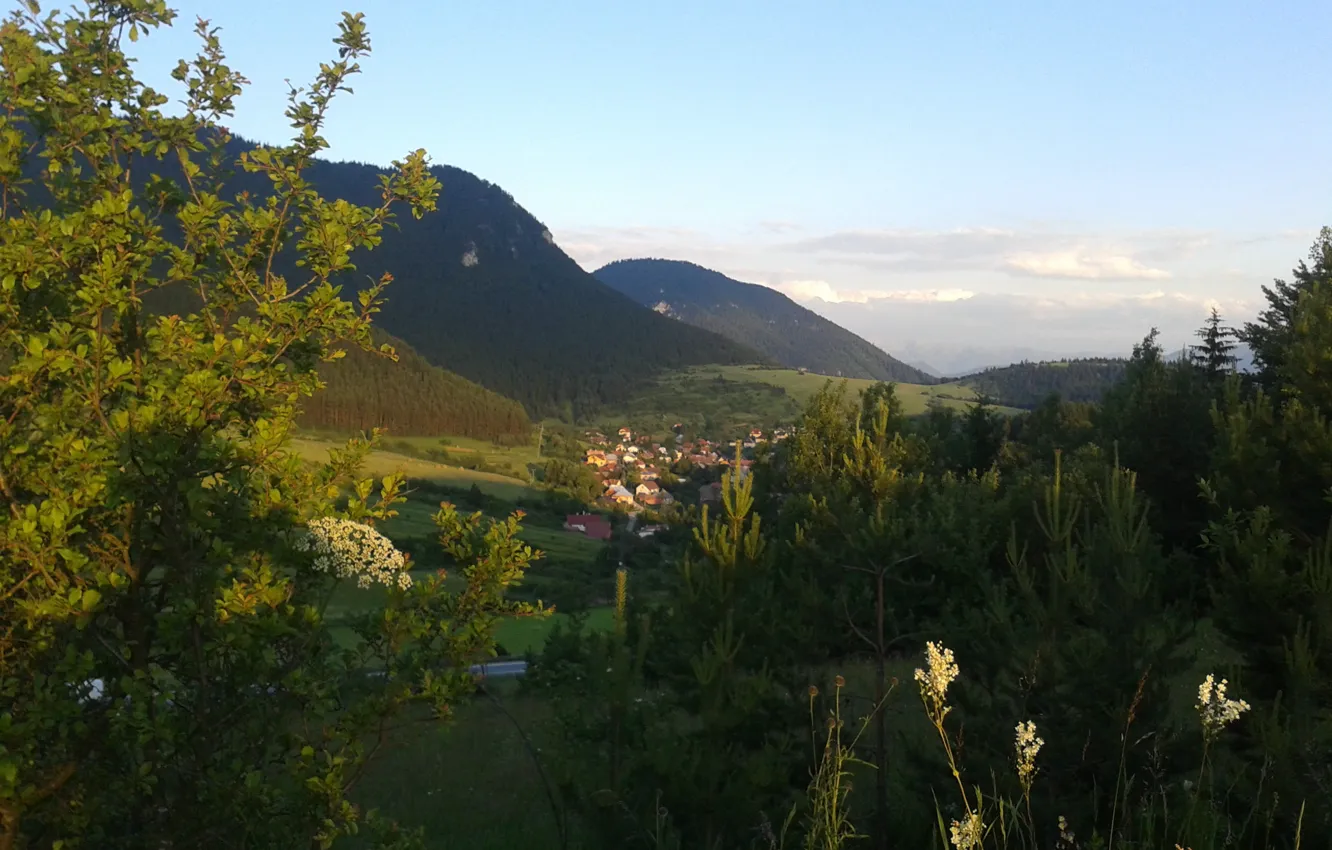 Photo wallpaper green, grass, forest, nature, panorama, view, pretty, houses