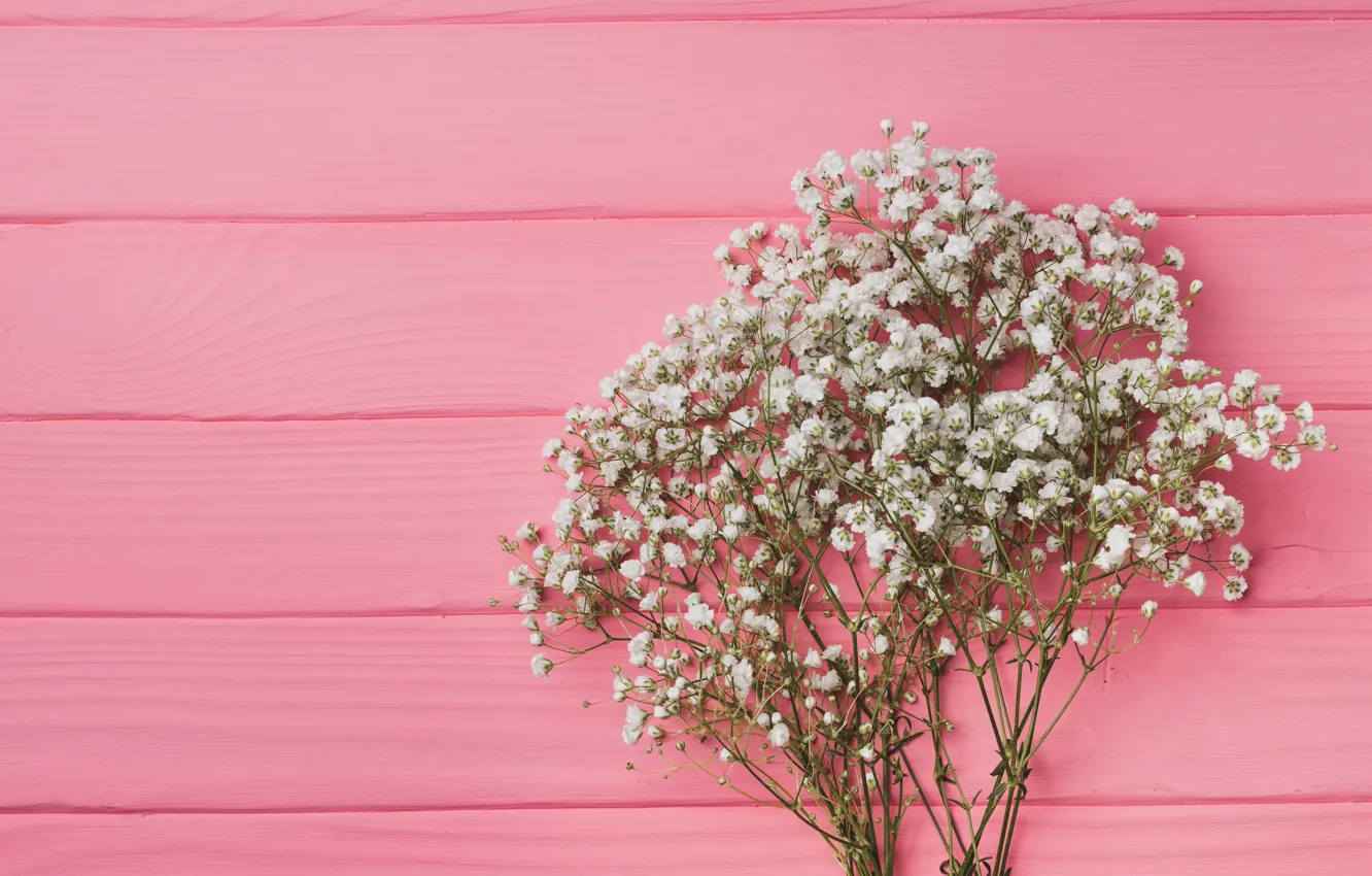 Photo wallpaper flowers, background, pink, pink, flowers, background, wooden, spring