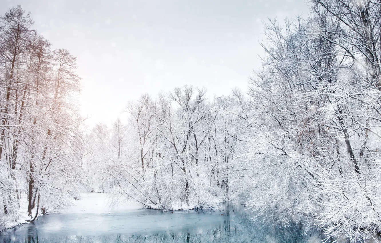 Photo wallpaper ice, winter, snow, trees, landscape, lake, trees, landscape