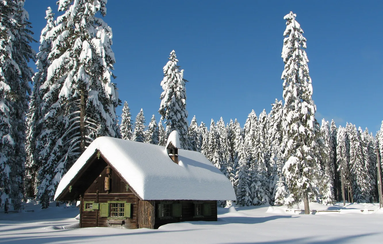 Photo wallpaper winter, frost, roof, forest, light, snow, in the snow, hut