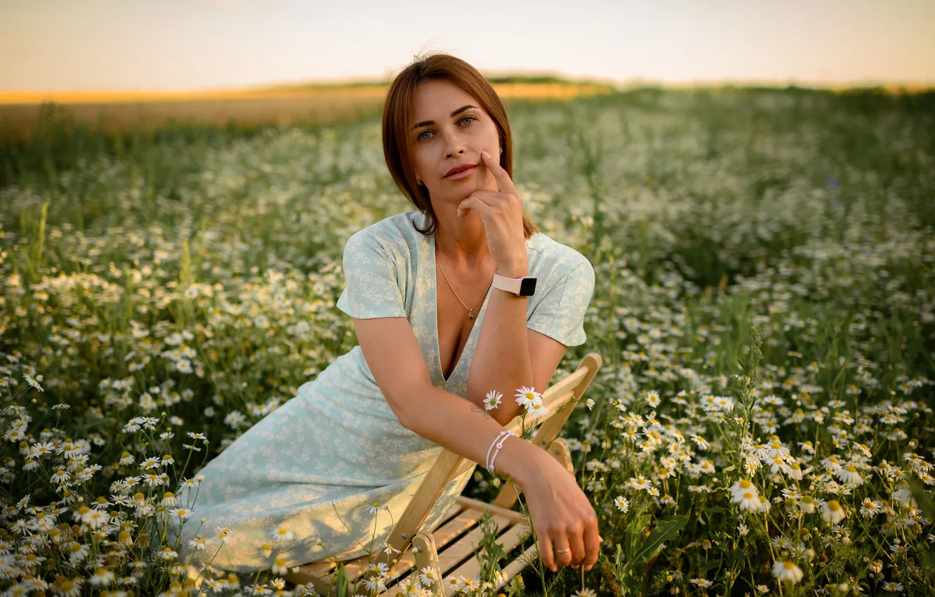 Photo wallpaper field, girl, sexy, Wallpaper, sweetheart, model, bright, chamomile