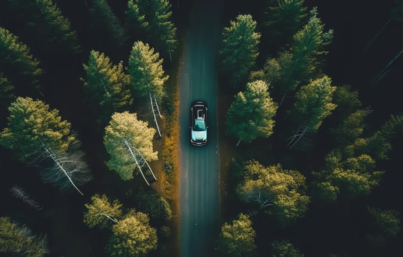 Photo wallpaper road, car, machine, autumn, forest, landscape, night, colorful