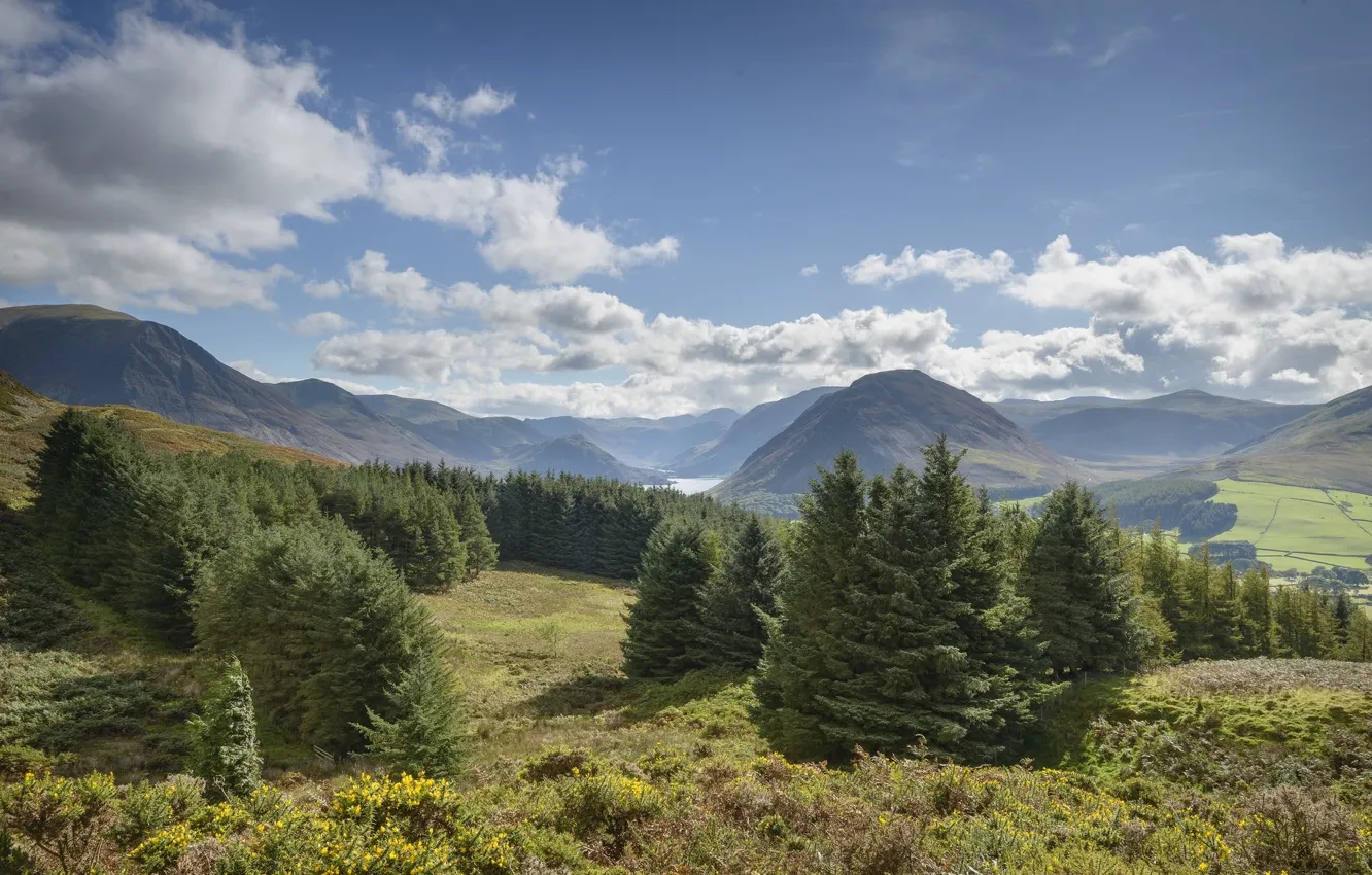 Photo wallpaper the sky, mountains, tree, ate