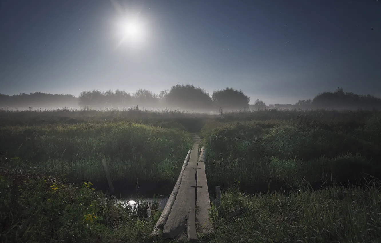 Photo wallpaper nature, fog, moonlit night, Evgeny Smolsky