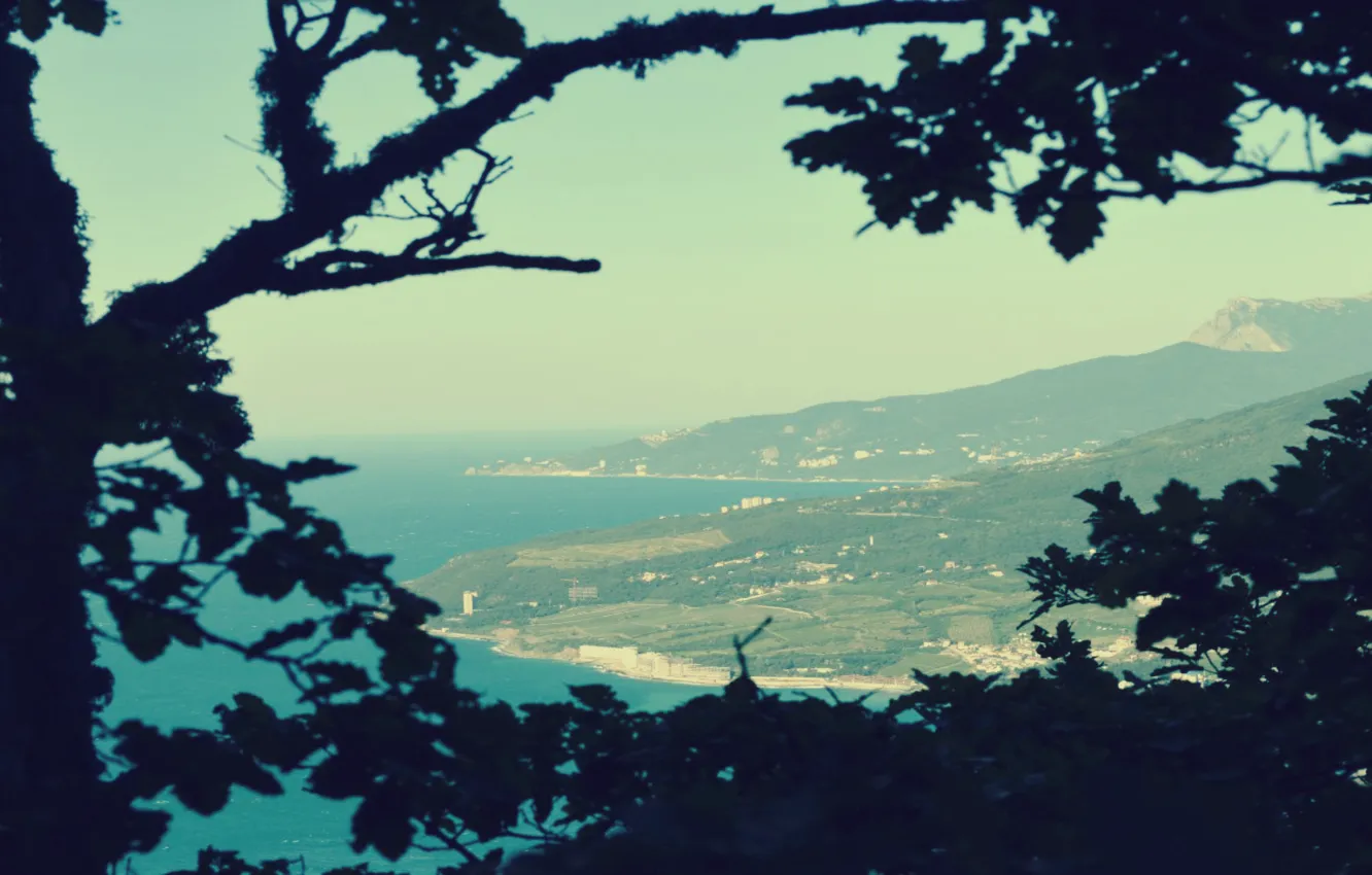 Photo wallpaper sea, forest, mountains, Crimea