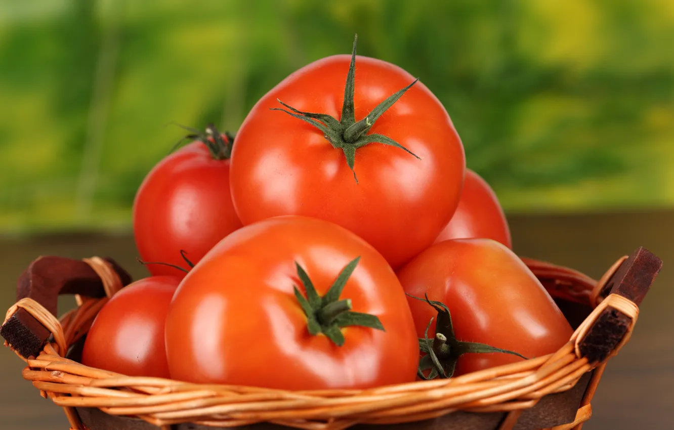Photo wallpaper food, red, tomato, tomatoes