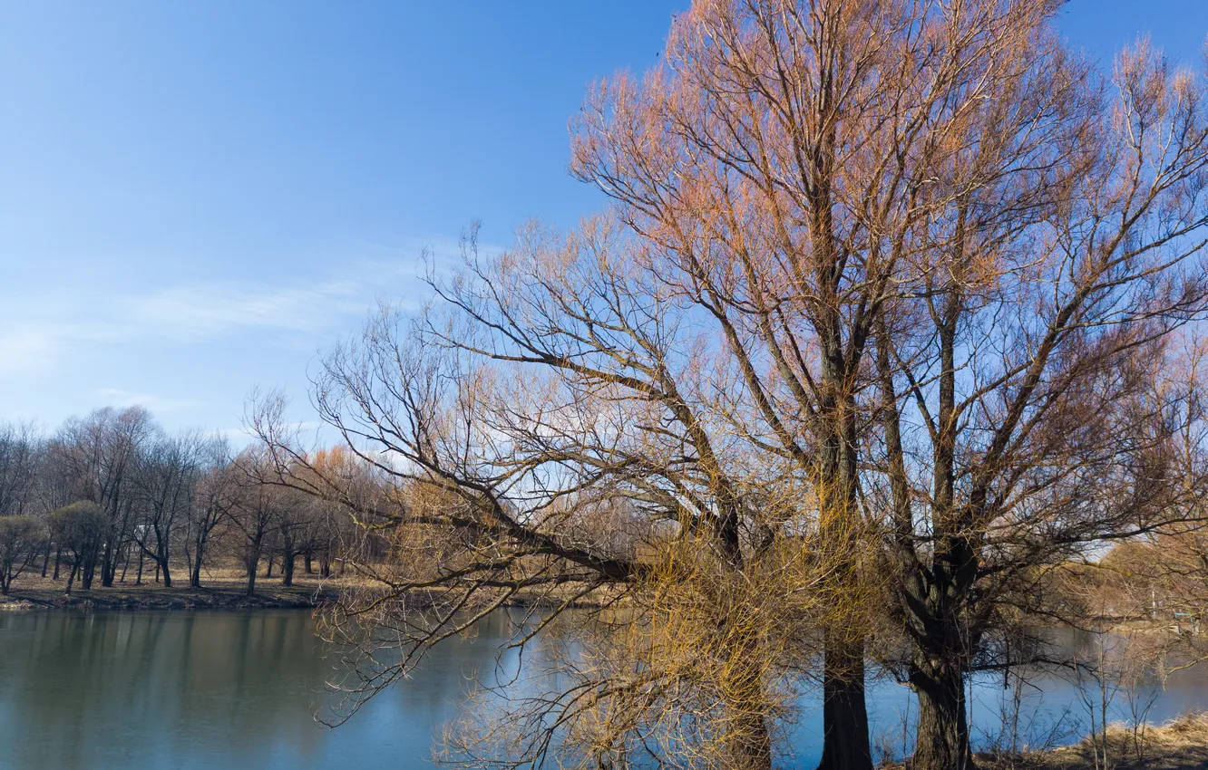 Photo wallpaper the sky, clouds, trees, nature, lake, Russia, Artem