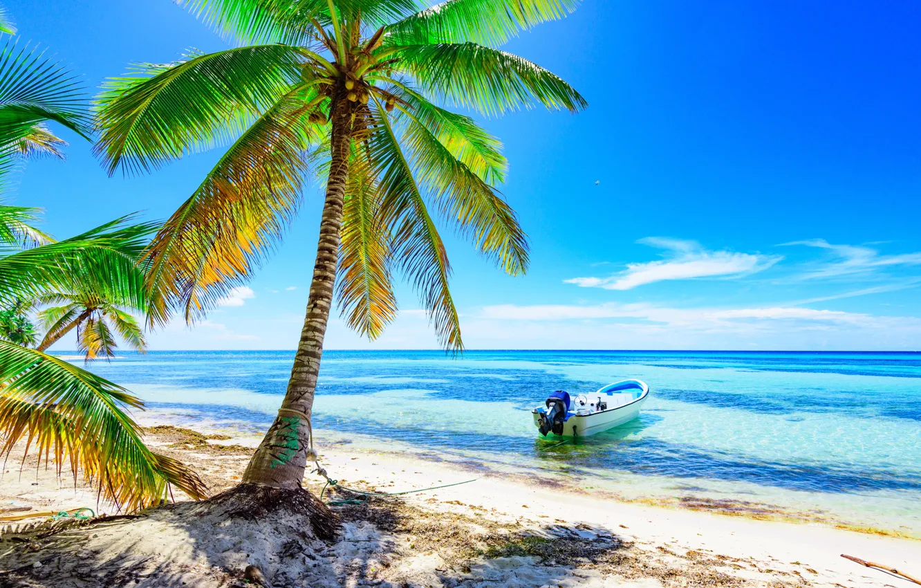 Photo wallpaper sand, sea, beach, the sun, palm trees, shore, boat, summer