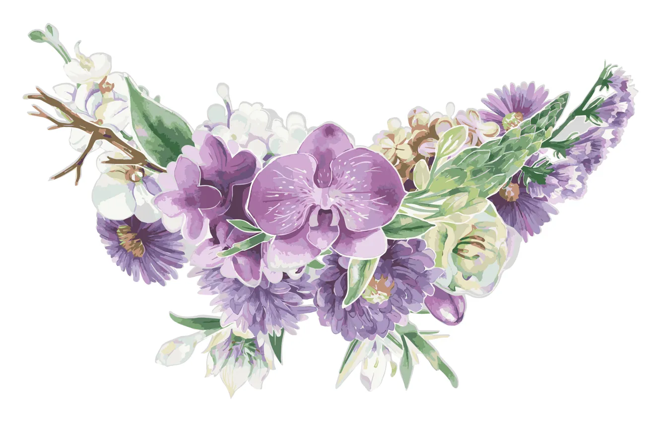 Photo wallpaper flowers, texture, white background