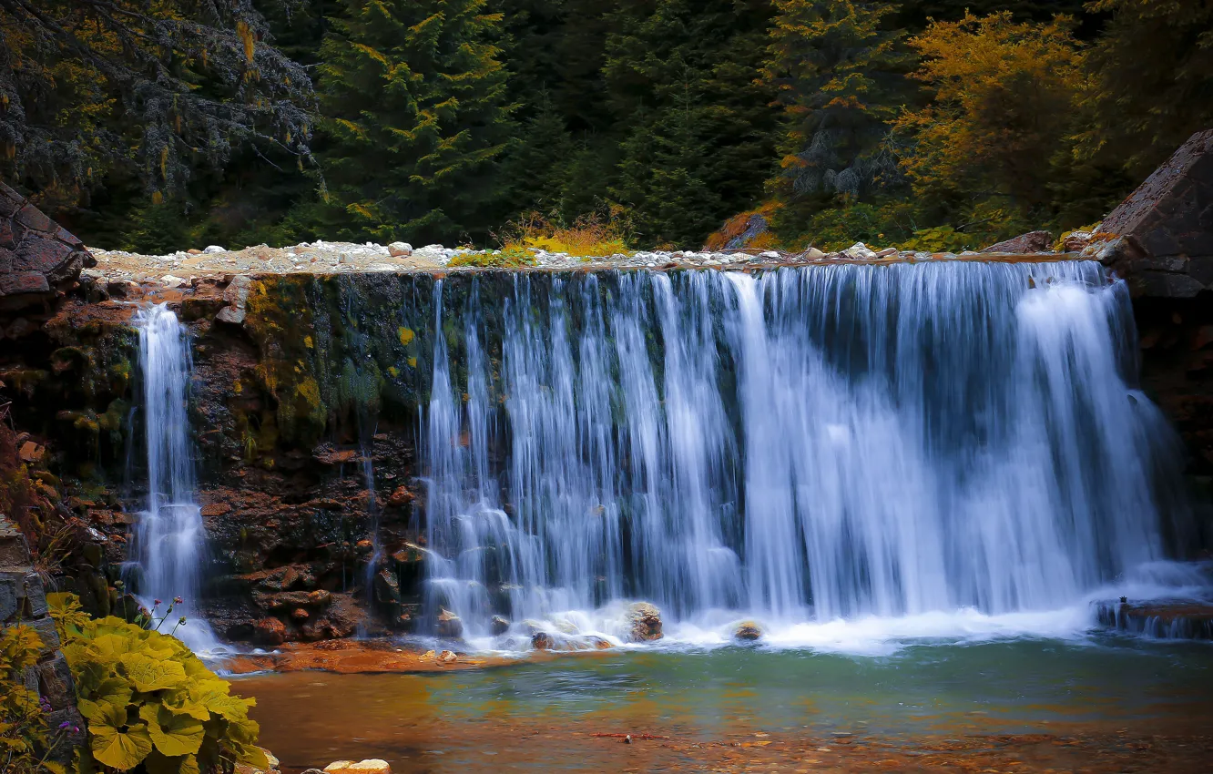 Photo wallpaper autumn, forest, shore, waterfall, stream