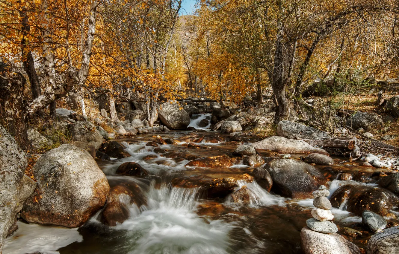 Photo wallpaper autumn, Altay, October 2014