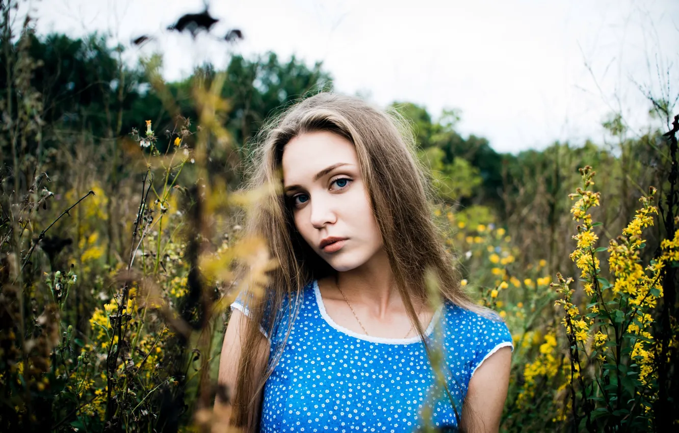 Photo wallpaper field, look, girl, flowers, thickets, sweetheart, model, portrait