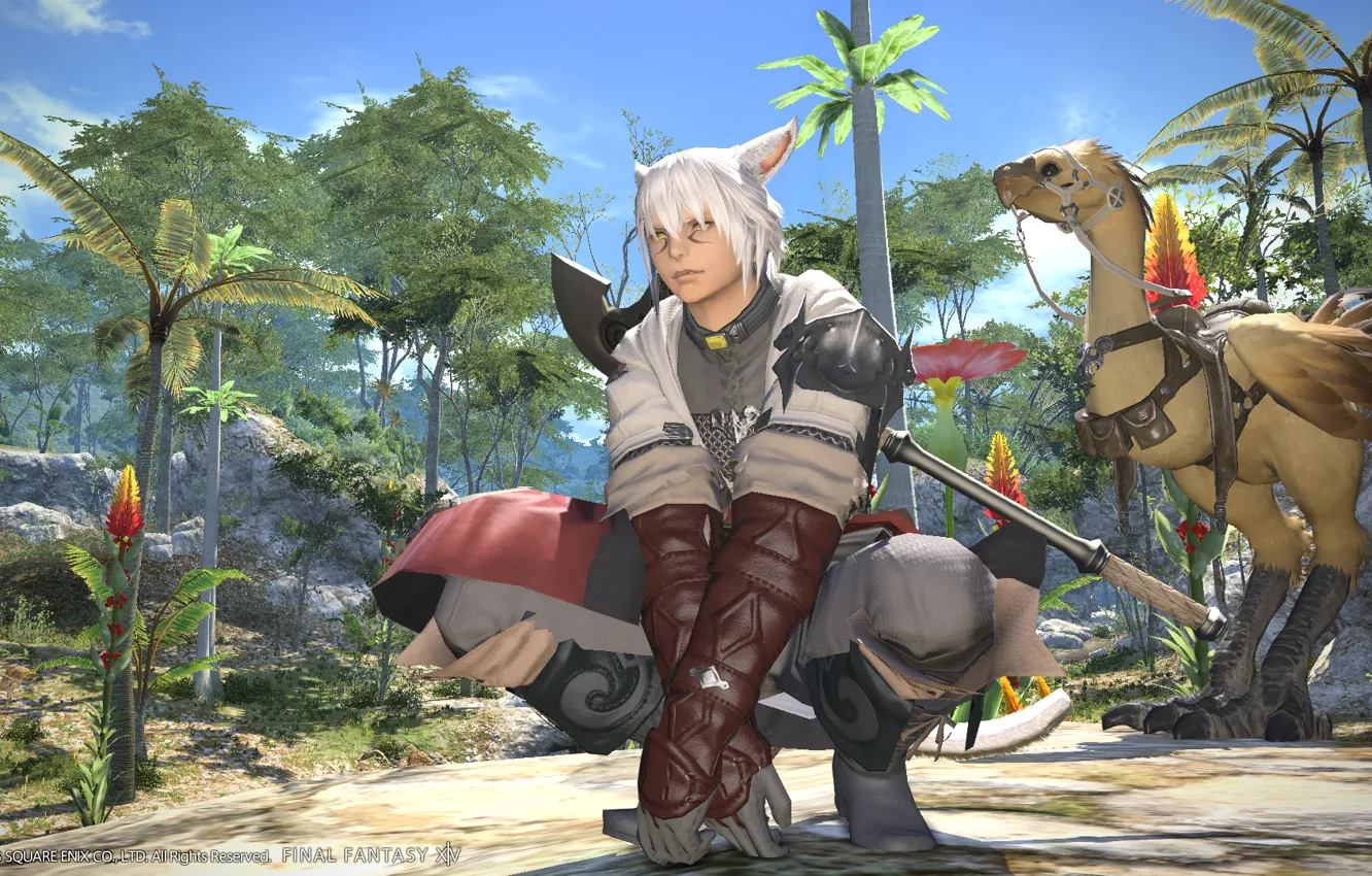 Photo wallpaper the game, pers, Final Fantasy