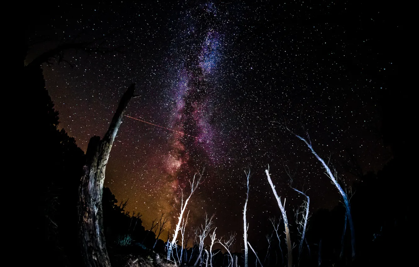 Photo wallpaper space, stars, the milky way, driftwood
