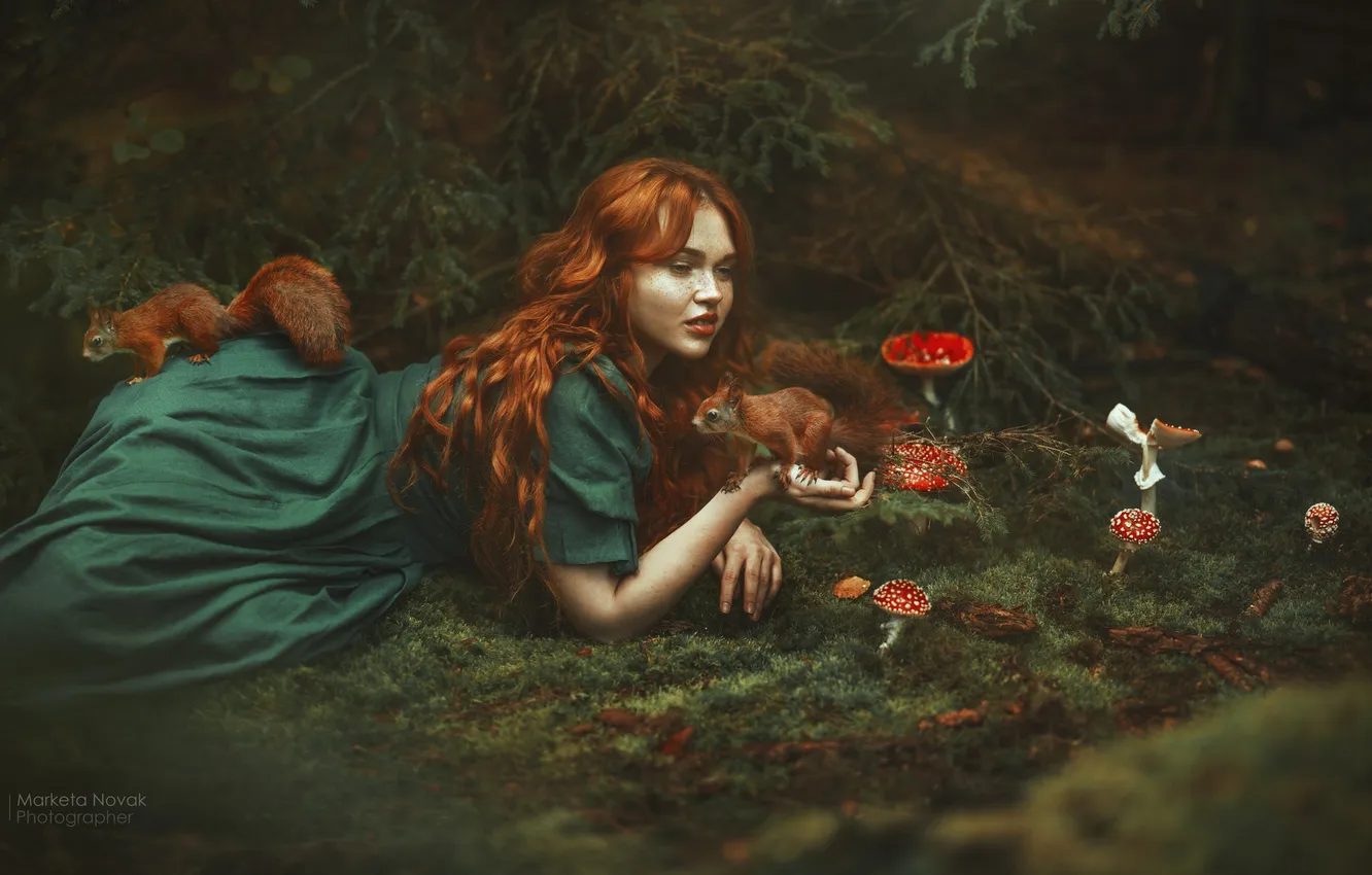 Photo wallpaper forest, girl, pose, mushrooms, hands, mushroom, red, redhead