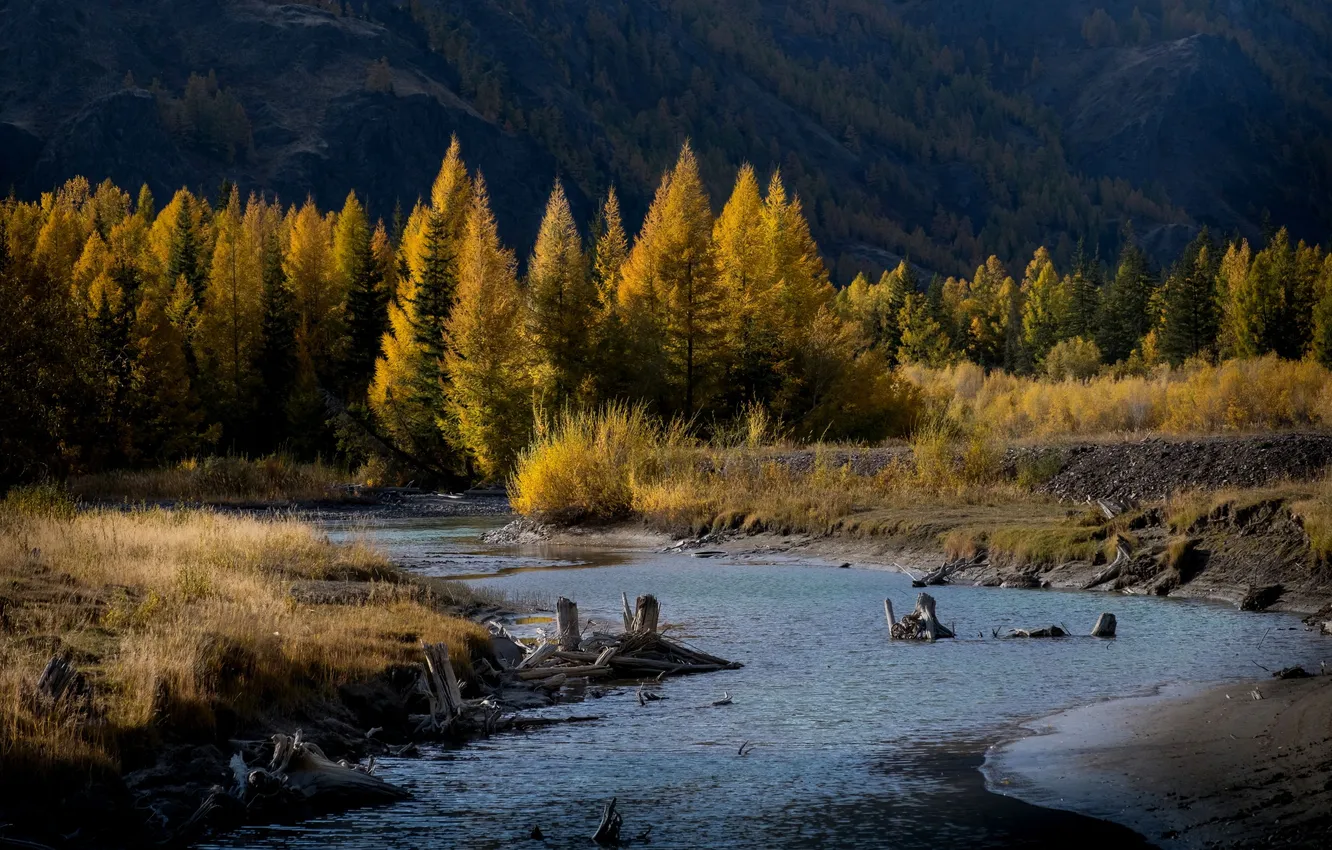 Photo wallpaper The Altai Mountains, Chuya River, Nadezhda Demkina, the village of Chagan-Uzun