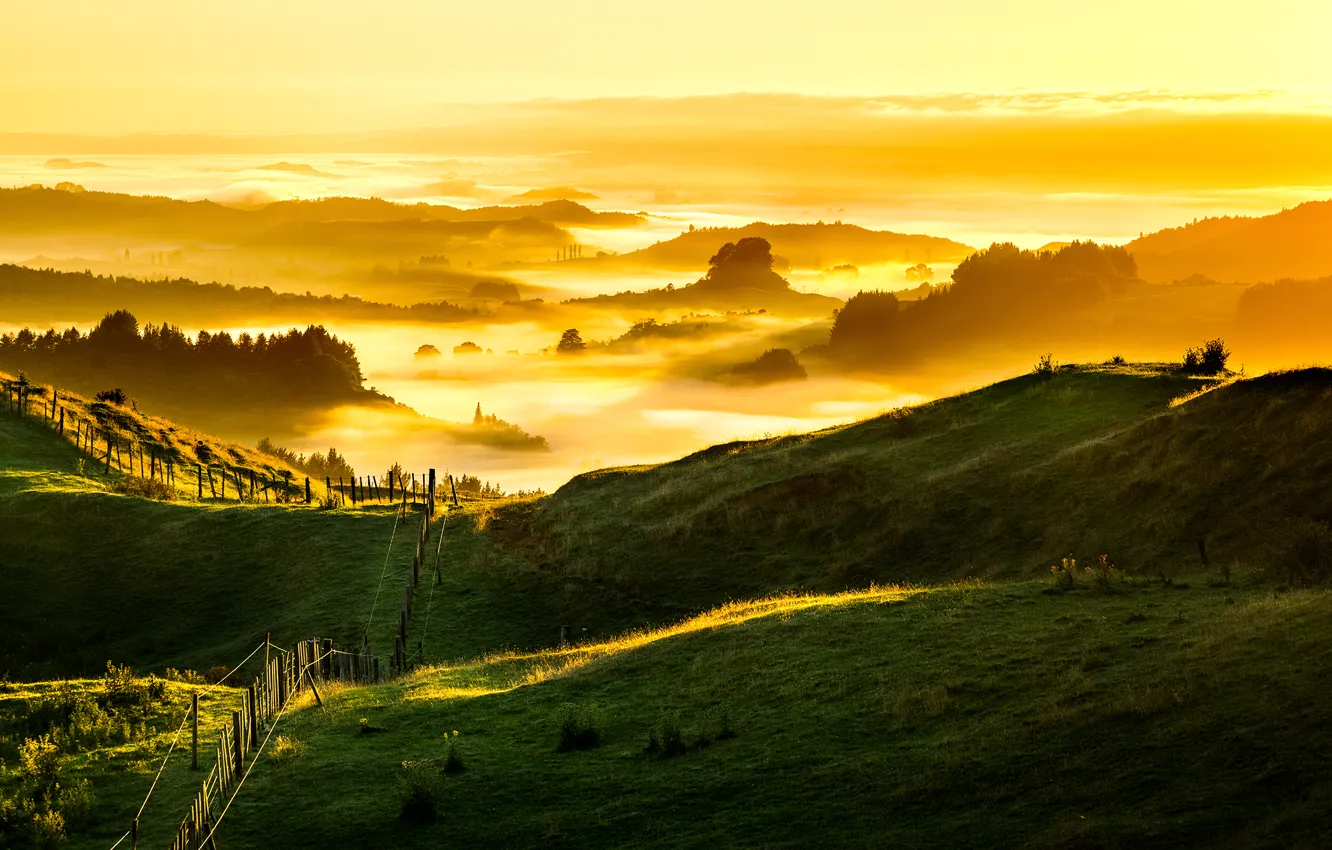 Photo wallpaper New Zealand, foggy, Golden Sunrise