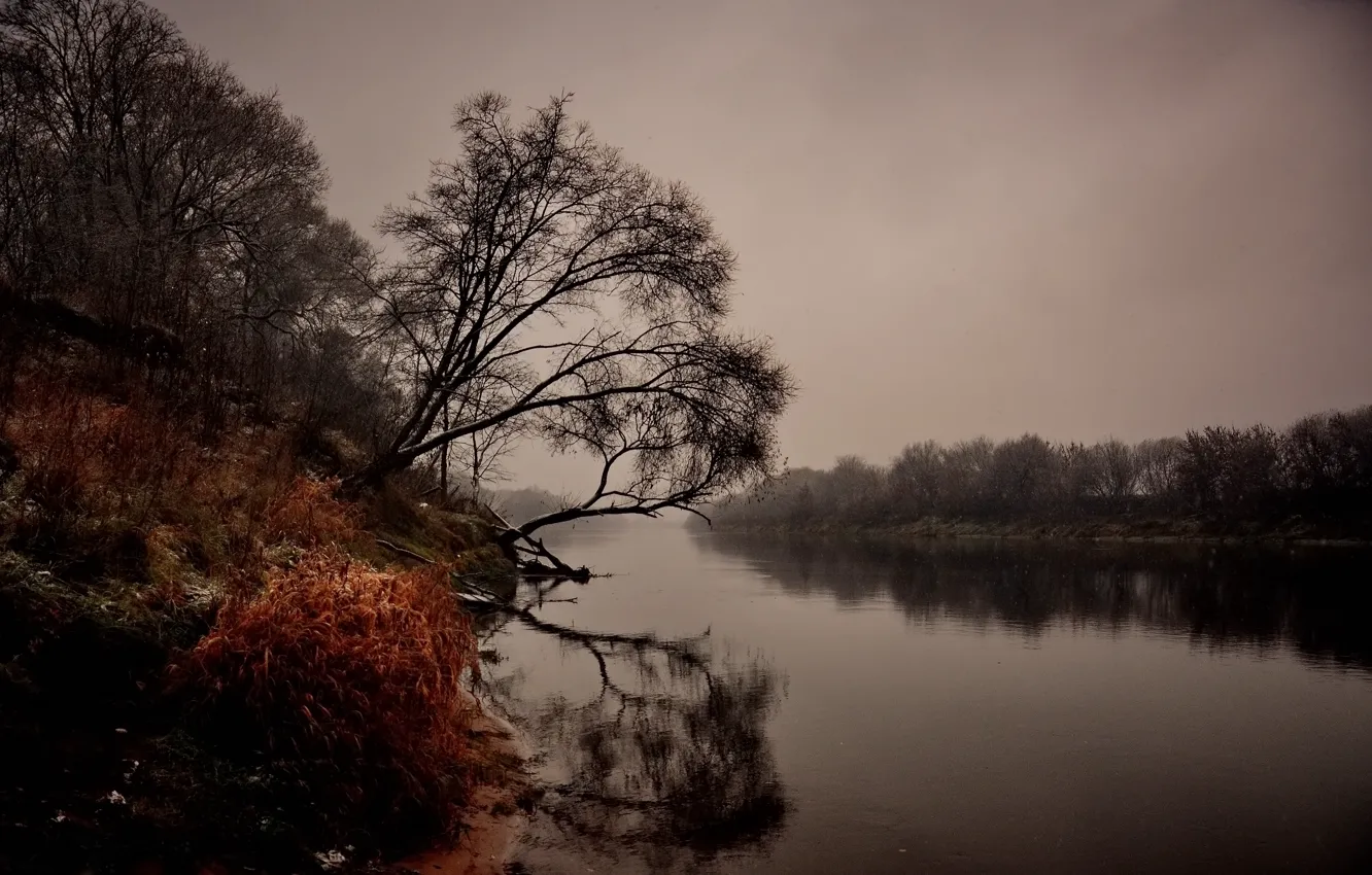 Photo wallpaper autumn, landscape, nature, river, gloomy morning