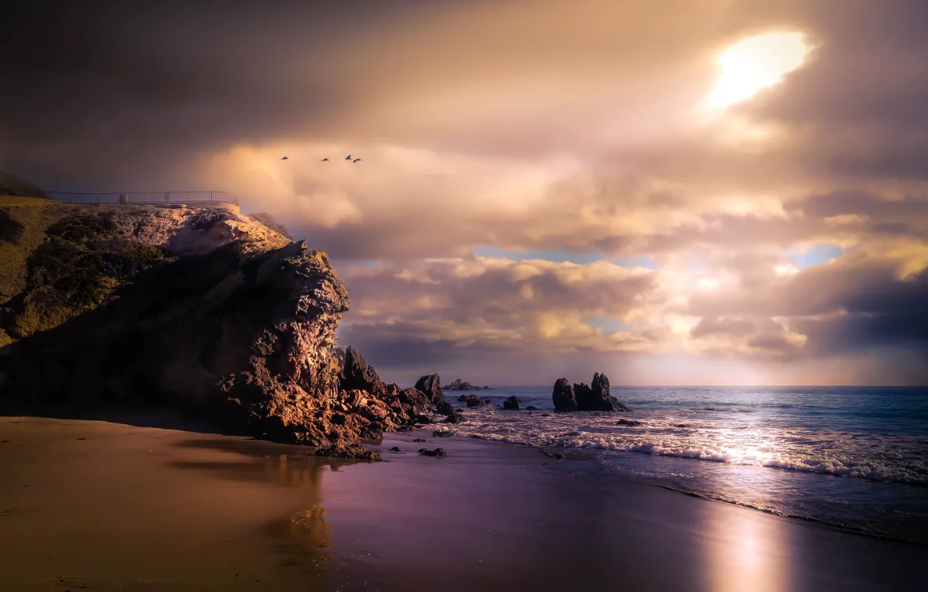 Photo wallpaper sea, beach, light, rocks, bird