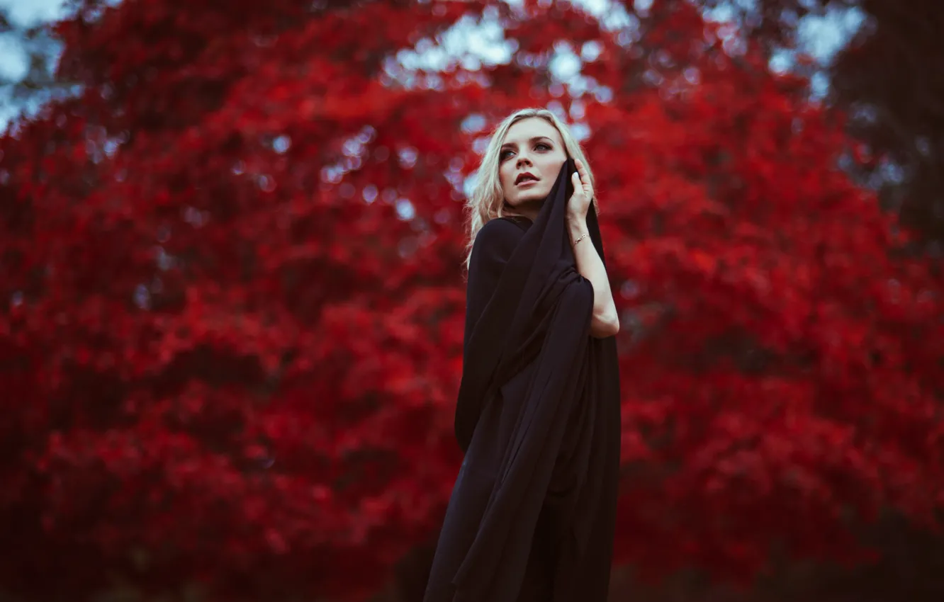 Photo wallpaper red, girl, autumn, blond, Sight