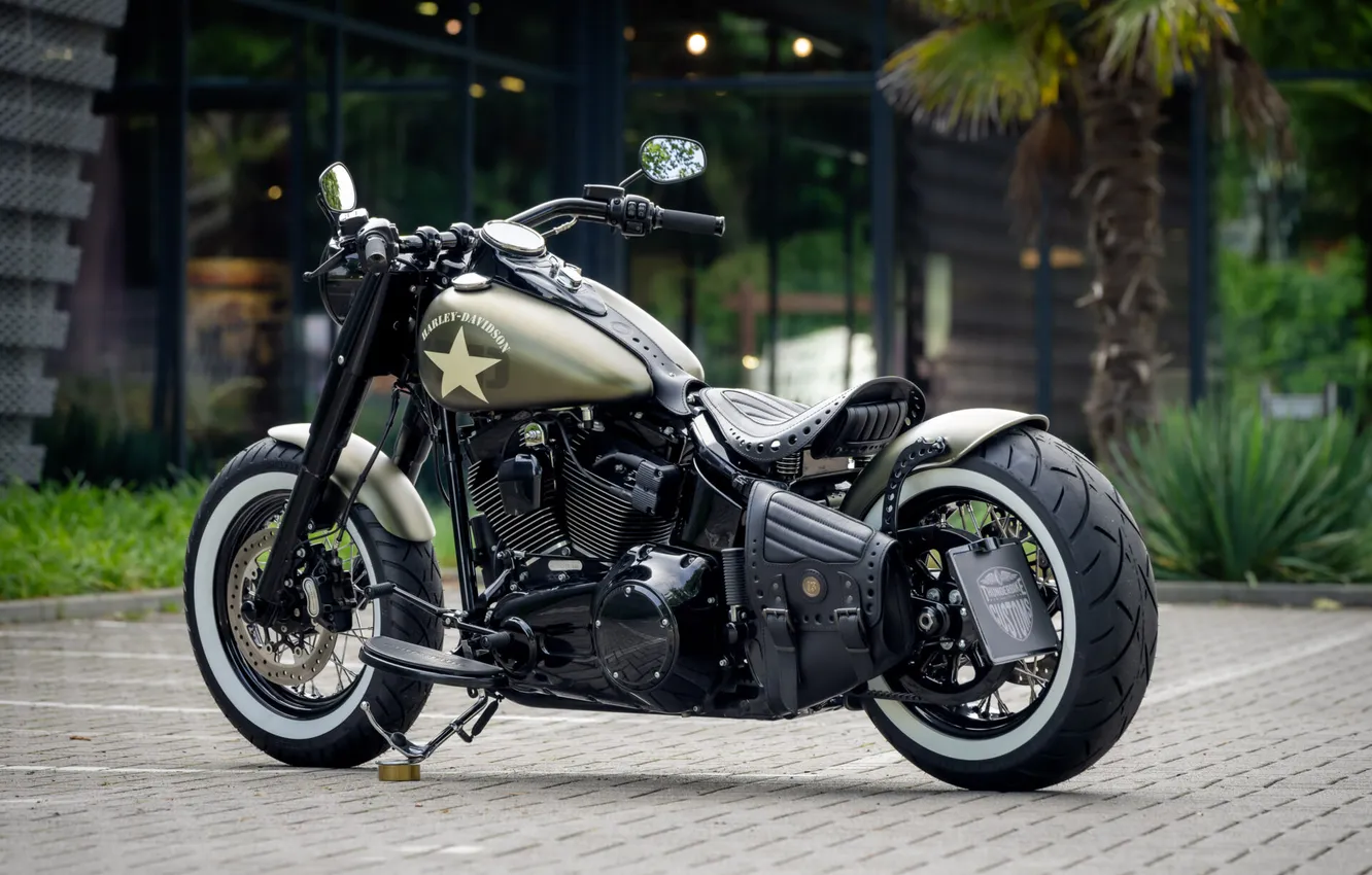 Photo wallpaper Harley-Davidson, Tuning, Softail, Rear, Customized, Thunderbike, Olive Joe, Custombikes