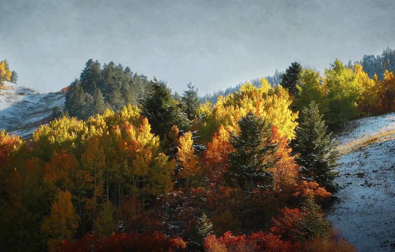 Photo wallpaper frost, autumn, the sky, trees, mountains, slope