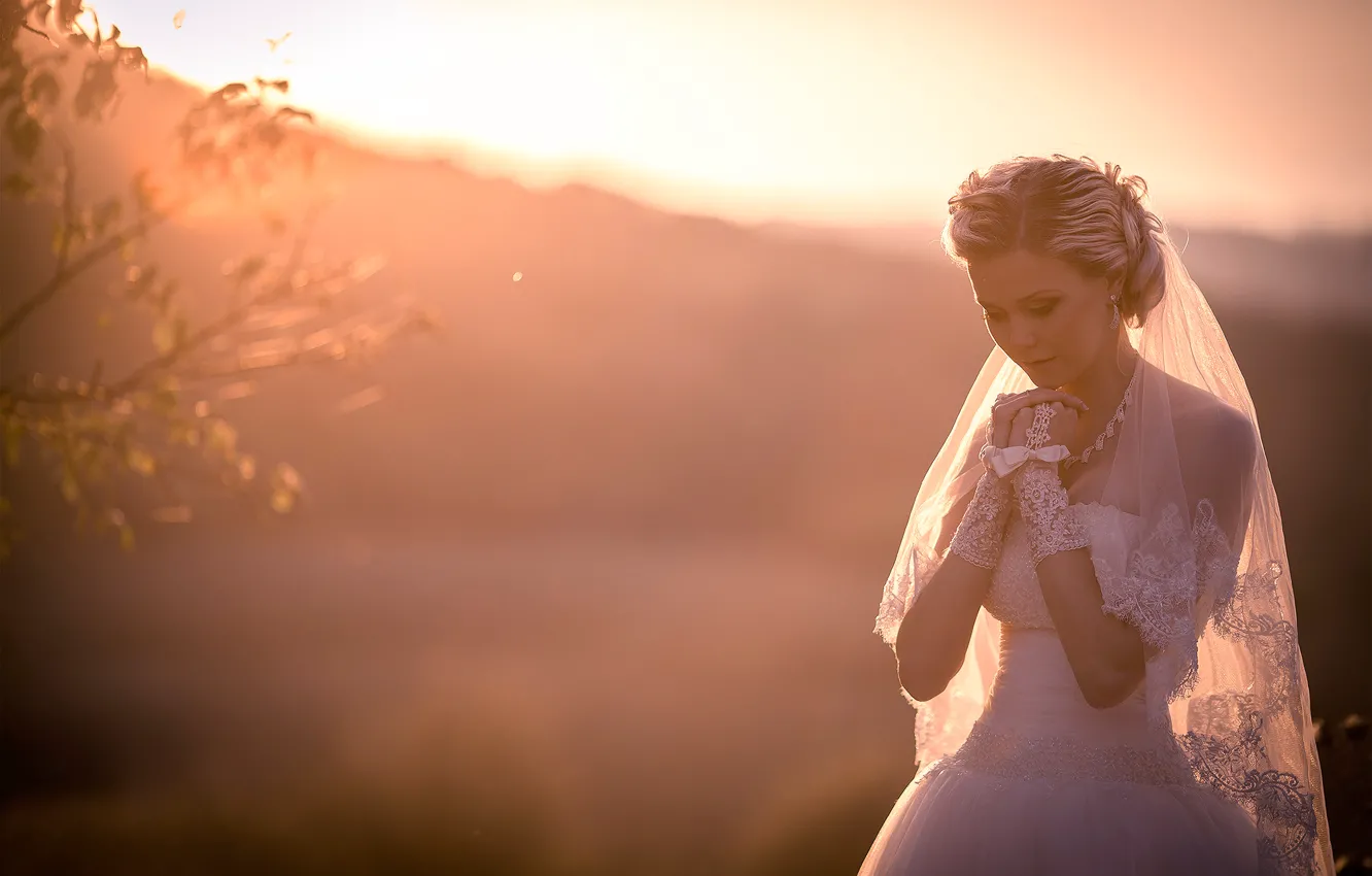 Photo wallpaper the bride, wedding, wedding dress