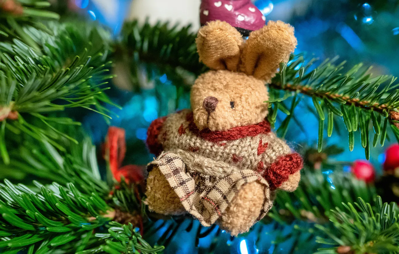 Photo wallpaper branches, toy, tree, new year, hare, needles, Bunny, hanging