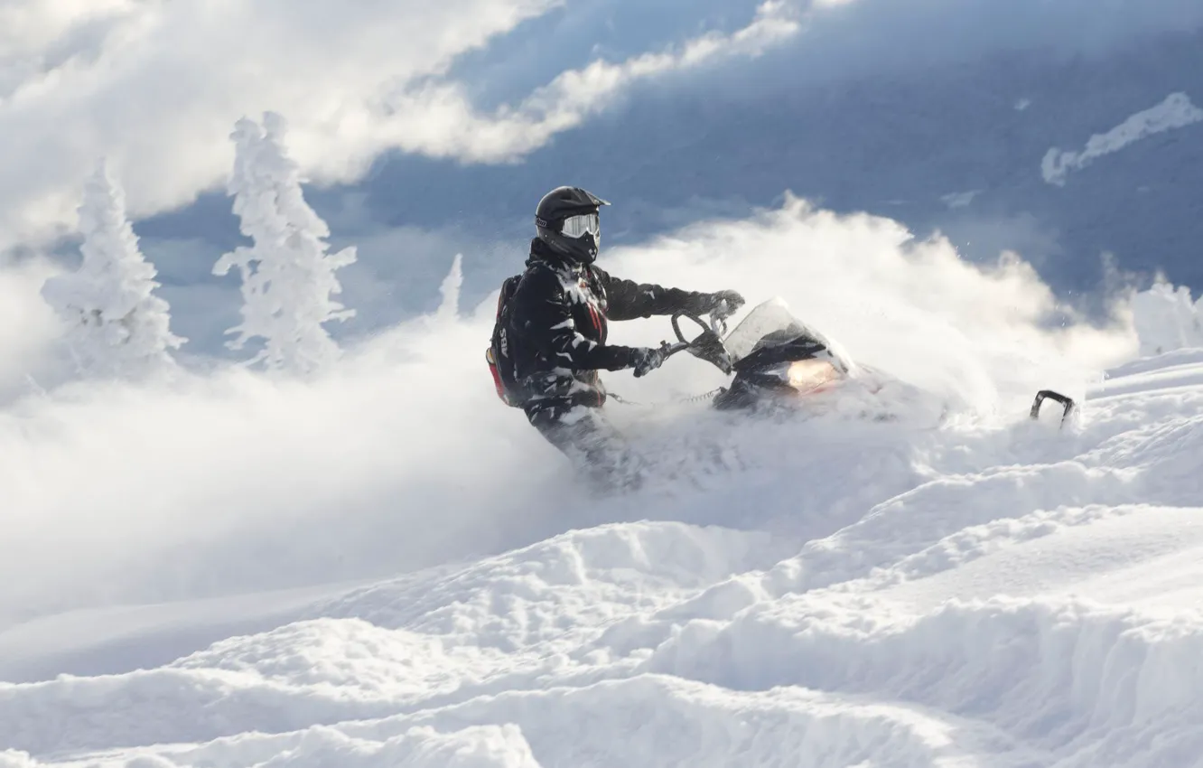 Photo wallpaper frost, snow, tree, snow, snowmobile, Polaris, snowmobile, Polaris