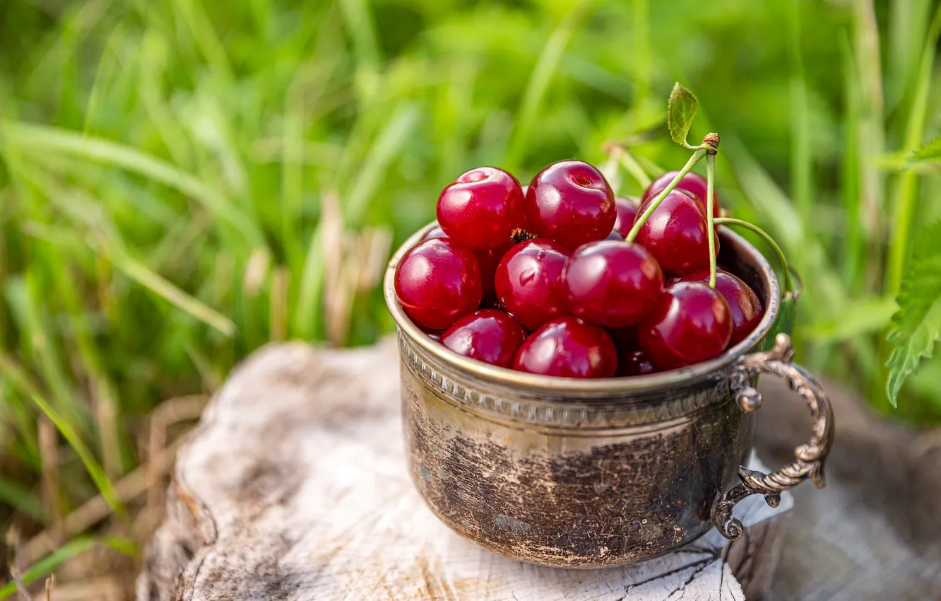 Photo wallpaper cherry, mug, cherry