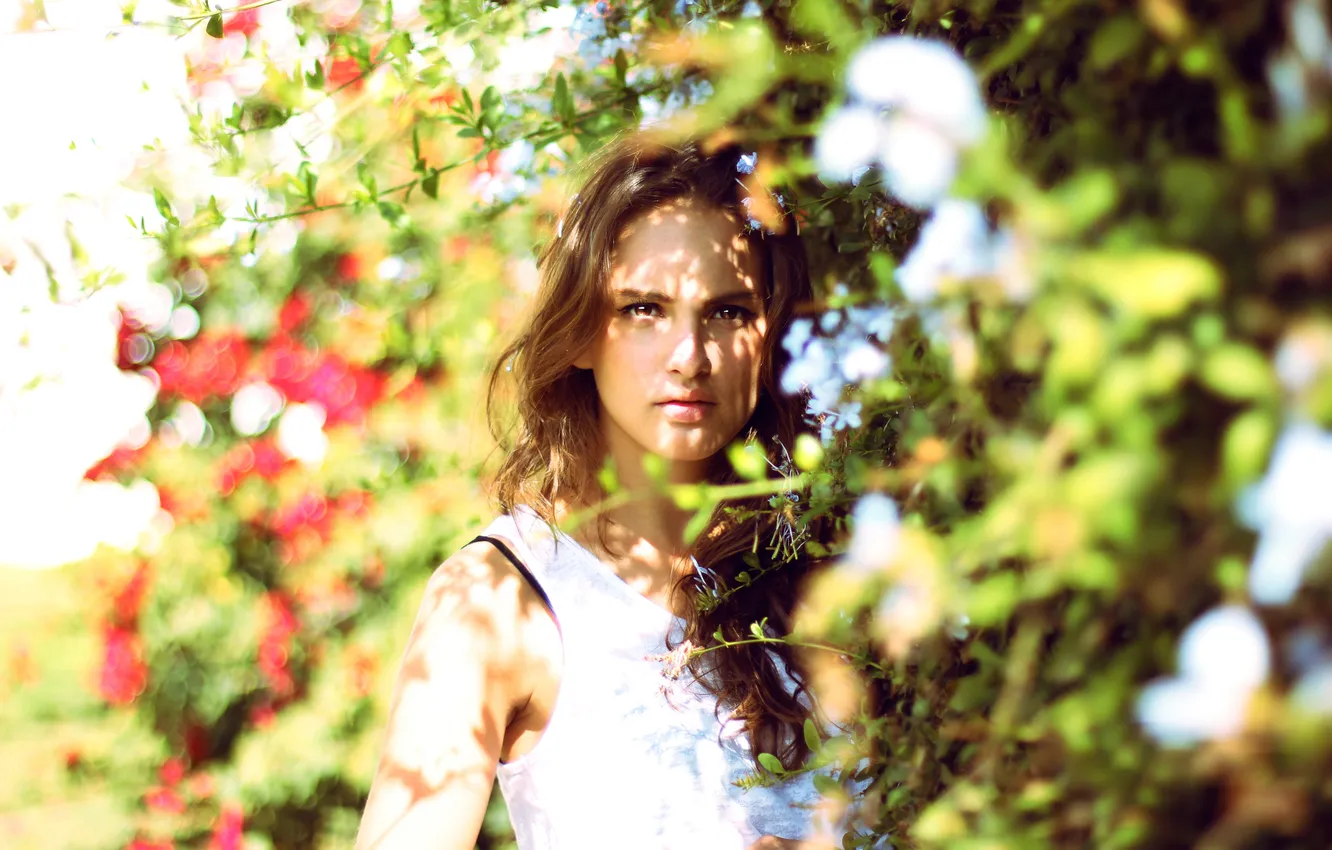 Photo wallpaper look, leaves, girl, brunette, bokeh