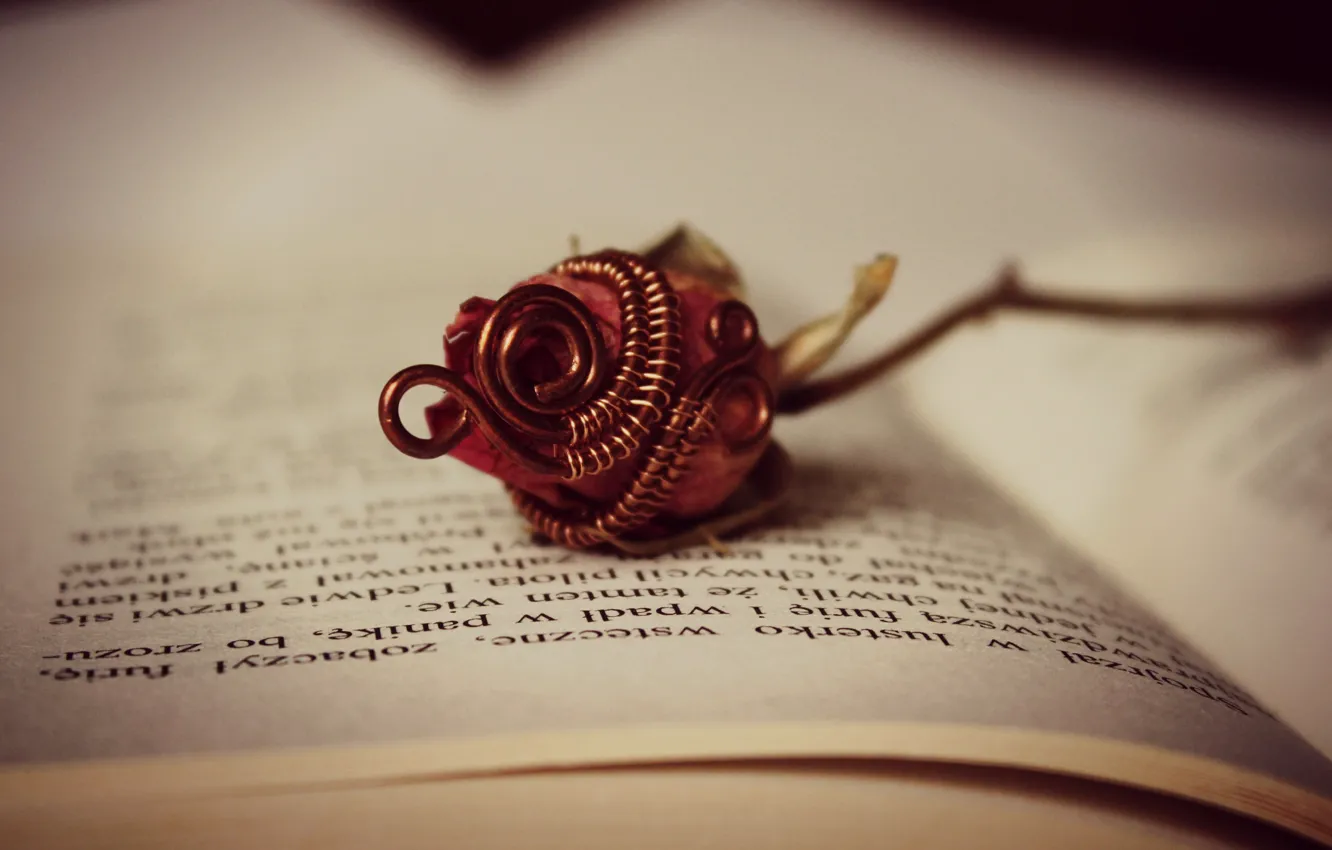 Photo wallpaper flowers, roses, book, page