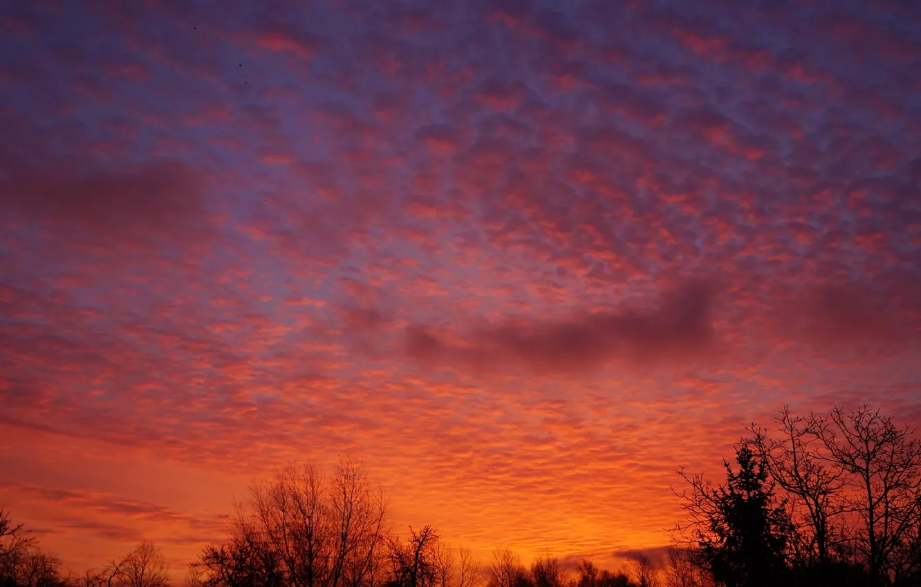 Photo wallpaper red, sky, sunset, cloud